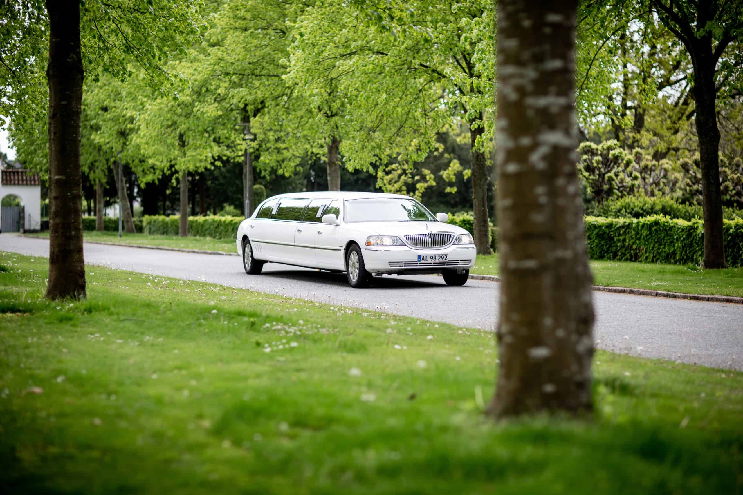 white limousine